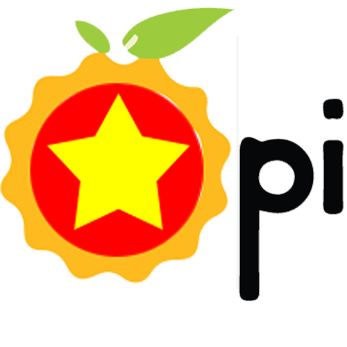 Orange Pi Logo